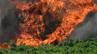 Μαίνεται η φωτιά στα Χανιά - Ισχυρές δυνάμεις της Πυροσβεστικής - Άρχισαν οι εκκενώσεις