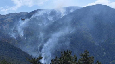 Τεράστια οικολογική καταστροφή: Για 27 μέρες η φωτιά και η αδιαφορία καίνε το δάσος στο όρος Όρβηλος