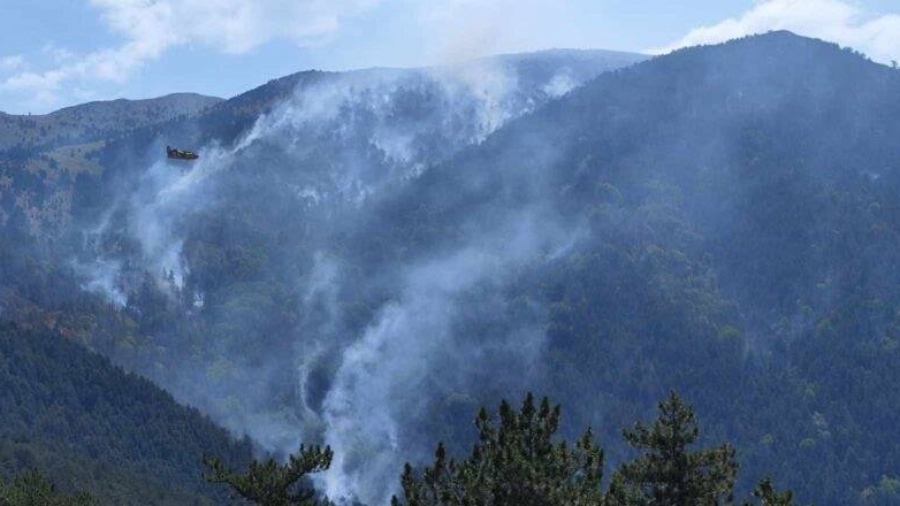 Τεράστια οικολογική καταστροφή: Για 27 μέρες η φωτιά και η αδιαφορία καίνε το δάσος στο όρος Όρβηλος