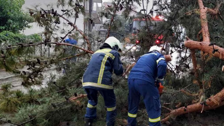 Πυροσβεστική: Στο Κέντρο Επιχειρήσεων 60 κλήσεις κυρίως για κοπές δέντρων