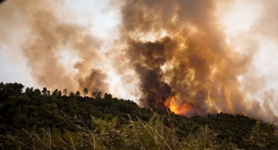 Μάχη με τις φλόγες δίνουν οι πυροσβεστικές δυνάμεις στην Αμαλιάδα – 49 φωτιές ξέσπασαν σε όλη την Ελλάδα