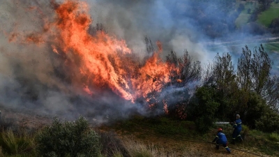 Συναγερμός από την Πυροσβεστική: Πάνω από 400 πυρκαγιές σε μία εβδομάδα και δεν ξεκίνησε καν... η αντιπυρική περίοδος