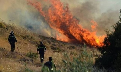 Φωτιά στην Μυτιλήνη μεταξύ Πέτρας και Μολύβου: Συναγερμός στην Πυροσβεστική