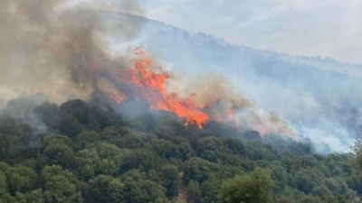 Λαμία: Πυρκαγιά σε αγροτοδασική έκταση στην περιοχή Καμηλόβρυση