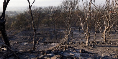 Εύβοια: Xωρίς ενεργό μέτωπο η πυρκαγιά στον Αλμυροπόταμο
