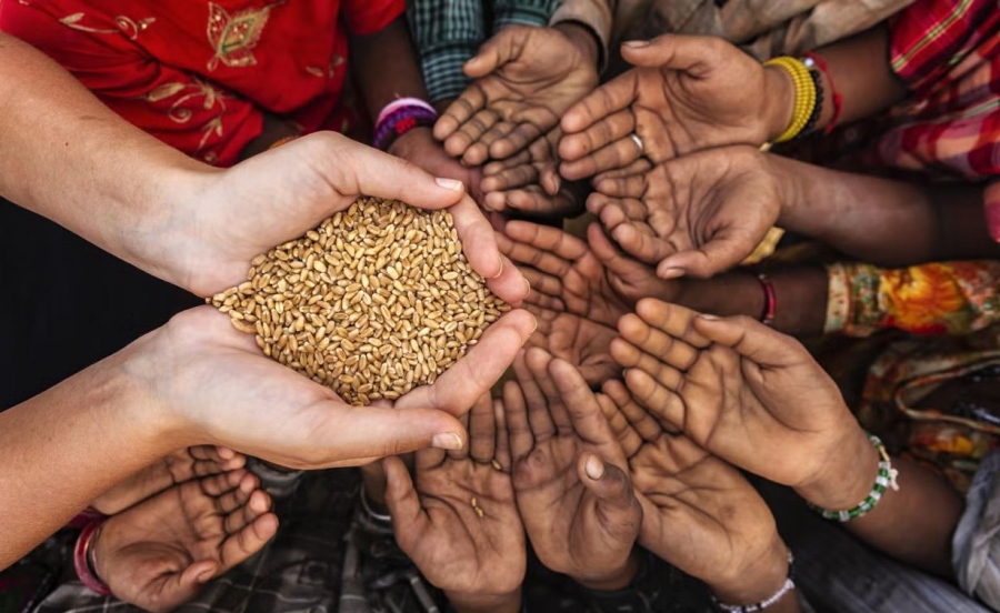 Η «πράσινη» ατζέντα του ΟΗΕ οδηγεί με μαθηματική ακρίβεια σε παγκόσμια πείνα