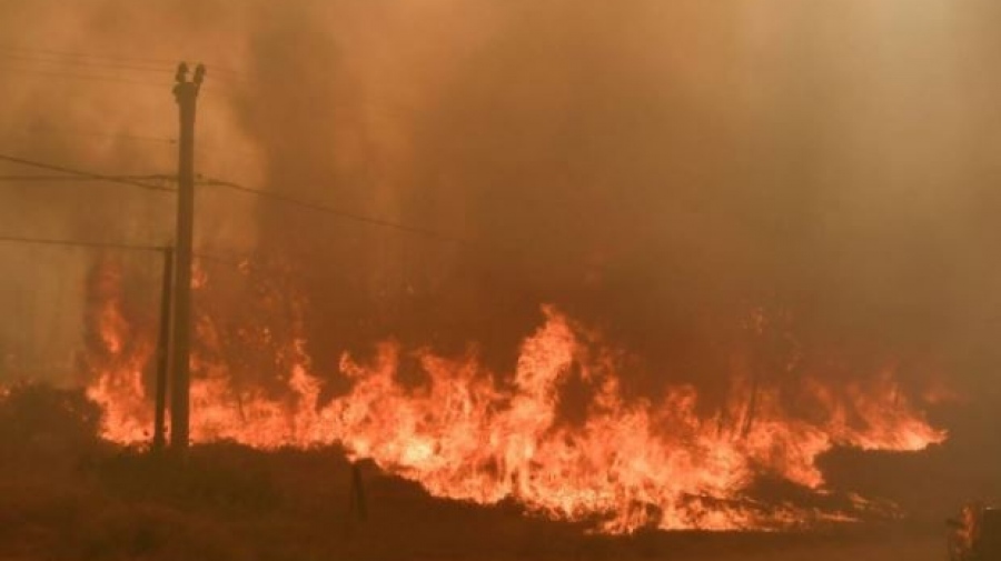 Πυρκαγιές στην Αττική: Σε πλήρη επαναλειτουργία οι 3 ιδιωτικές ψυχιατρικές κλινικές και οι 4 ξενώνες ψυχοκοινωνικής αποκατάστασης