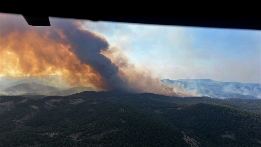 Πύρινα μέτωπα: Κυβερνητικό κλιμάκιο υπό τον Στυλιανίδη στη Δαδιά Έβρου την Κυριακή (24/7)