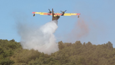 Πυρκαγιά σε δασική έκταση στη Λακωνία - Στην κατάσβεση 5 εναέρια μέσα