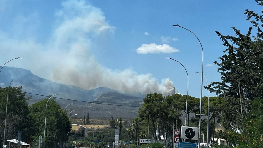 Φωτιά σε δασική έκταση στην περιοχή Κατσιμίδι Πάρνηθας