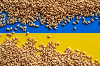 Ουκρανία: Κατέρρευσε η γεωργία λόγω του πολέμου, ζημιές 10 δισ. δολ.