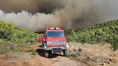 Περισσότερα από 9.500 στρέμματα έγιναν στάχτη από τη μεγάλη φωτιά του Ιουλίου στην Εύβοια