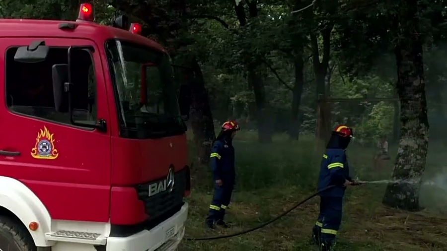 Φωτιά στην Ηλεία - Κινητοποίηση επίγειων και εναέριων δυνάμεων της Πυροσβεστικής