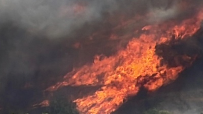Εύβοια: Πυρκαγιά στη περιοχή Καλύβια