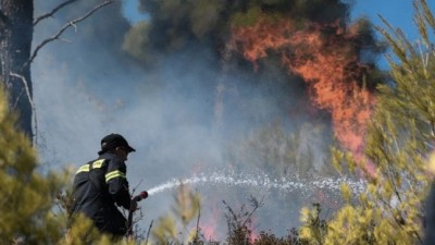 Ανεξέλεγκτη η φωτιά στην Ανάβυσσο - Εκκενώνονται οικισμοί - Καίγονται σπίτια - Ενισχύονται οι δυνάμεις της Πυροσβεστικής - Πυρκαγιά σε Νέα Μάκρη και Κηφισιά