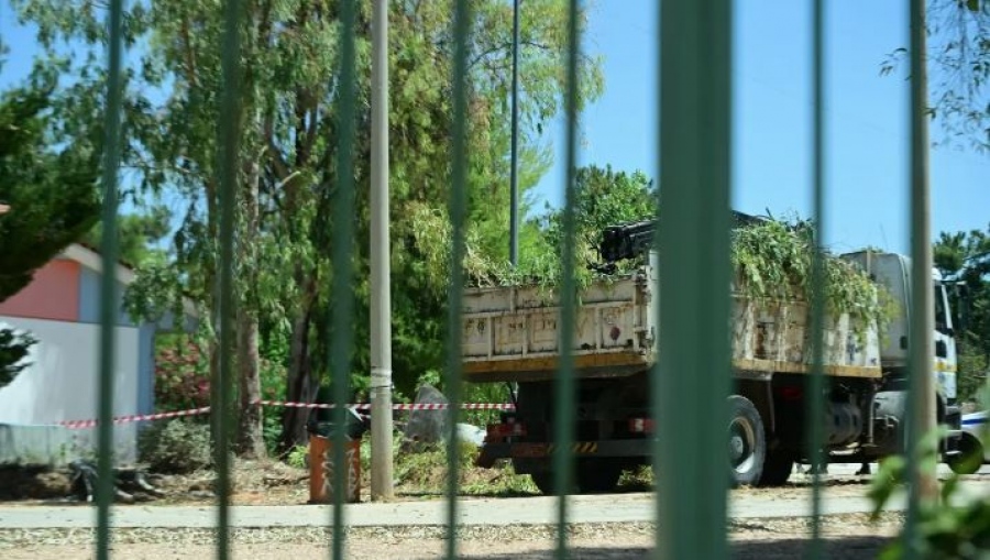 Νεκρός εργάτης του δήμου Παπάγου που καταπλακώθηκε από δέντρο σε εργασίες καθαριότητας