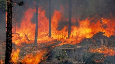 Πυρκαγιά στον Αυλώνα Αττικής - Δεν κινδυνεύουν κατοικημένες περιοχές