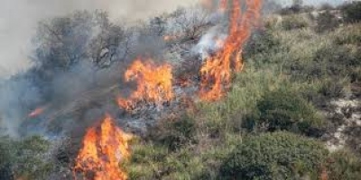 Πυρκαγιά κατακαίει δύσβατη δασική περιοχή στα Χανιά της Κρήτης