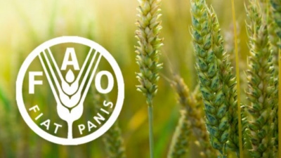 Οργανισμός Τροφίμων και Γεωργίας (FAO): Οι παγκόσμιες τιμές των τροφίμων σημείωσαν πτώση κατά 2% το 2024