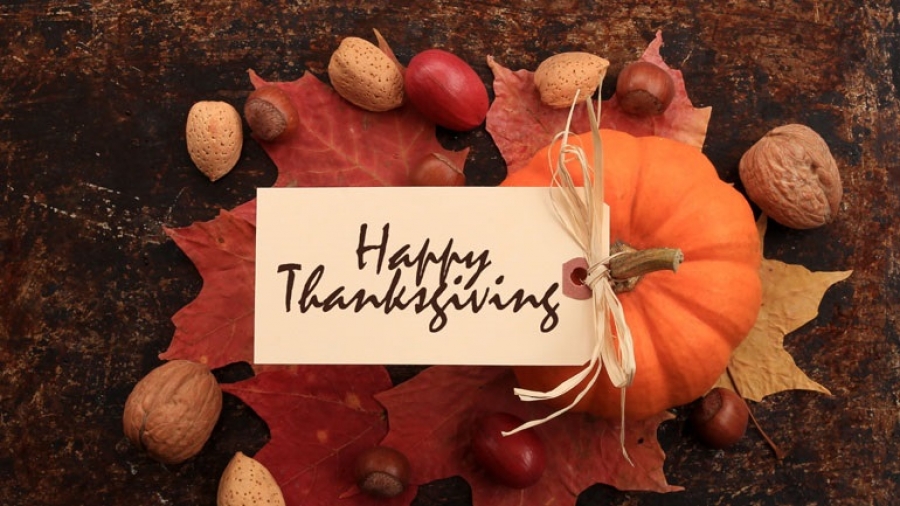 ΗΠΑ: Αυξημένος κατά 3% ο τζίρος στη φετινή Ημέρα των Ευχαριστιών