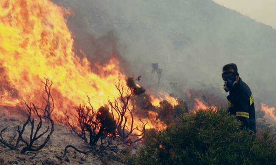 Ξέσπασε πυρκαγιά στις Σέρρες – Με ισχυρές δυνάμεις επεμβαίνει η πυροσβεστική