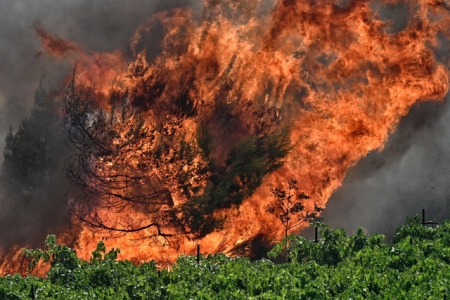 Υπό μερικό έλεγχο η φωτιά στις Σέρρες, οριοθετήθηκε στην Πέλλα – Μάχη με τις φλόγες στο Φαλακρό