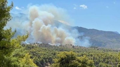 Νέος συναγερμός στην Πυροσβεστική - Φωτιά σε δασική έκταση στα Μέγαρα, ήχησε το 112 - Πυρκαγιά και σε Βαρνάβα