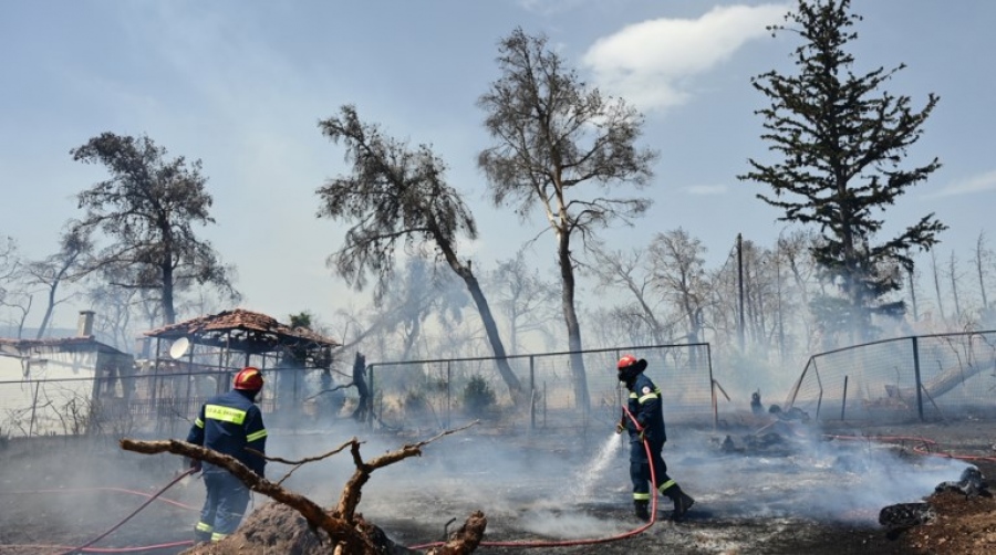 Σύλληψη 67χρονου για τη φωτιά στη Βόλβη - Κάηκαν 1.200 στρέμματα