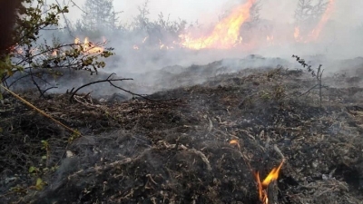 Σε ύφεση η φωτιά σε Βίλια και Κάρυστο - Εκκενώσεις οικισμών, κάηκαν σπίτια