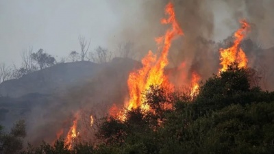 Υπό έλεγχο η φωτιά στη Σαλαμίνα