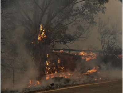 Καλύτερη η εικόνα της πυρκαγιάς στην Αχαΐα - Στους 16 οι τραυματίες στην Αιγιάλεια, κάηκαν σπίτια