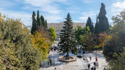 Στις 28/11 ανάβει το χριστουγεννιάτικο δέντρο στο Σύνταγμα- Δούκας: Σαν παραμύθι τα Χριστούγεννα στην Αθήνα