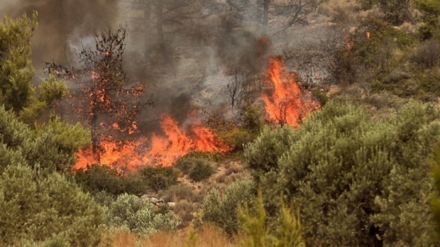 Υπό μερικό έλεγχο η φωτιά στο Ειρηνικό Κιλκίς - Αποχωρούν σταδιακά οι πυροσβέστες