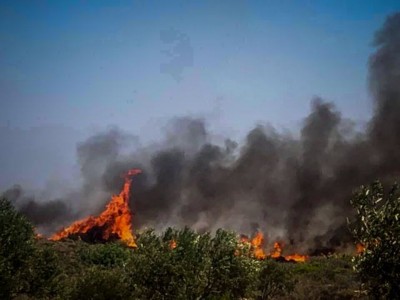 Υπό μερικό έλεγχο πυρκαγιά στη Βάρη – Δεν υπήρξε κίνδυνος για κατοικίες