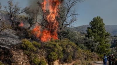 Πυρκαγιά στην Αργολίδα - Διάσπαρτες εστίες αντιμετωπίζουν οι πυροσβεστικές δυνάμεις - Εκκένωση Δάρδιζας Ερμιόνης