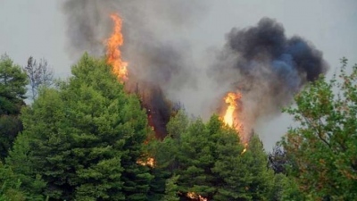 Χωρίς ενεργό μέτωπο η δασική πυρκαγιά στο Νευροκόπι - Υπό μερικό έλεγχο η φωτιά σε αγροτική έκταση στην Τερπνή Σερρών