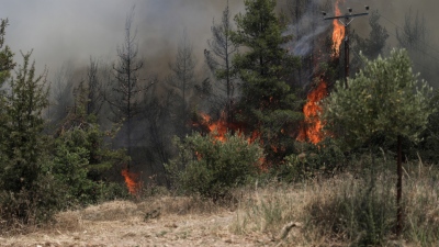 Φωτιά στην Κάρυστο: Ανεξέλεγκτο το πύρινο μέτωπο προς το Λιβάδι