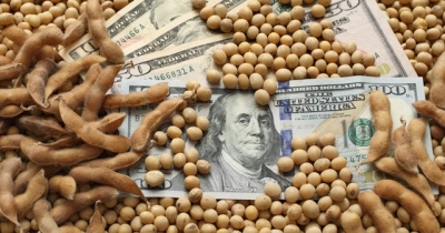 Αποδολαριοποίηση: Οι BRICS φτιάχνουν χρηματιστήριο για την αγορά σιταριού και απειλούν με πείνα τη Δύση